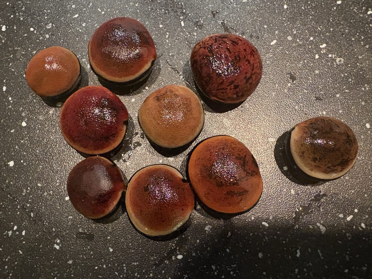 Premium botanical extracts