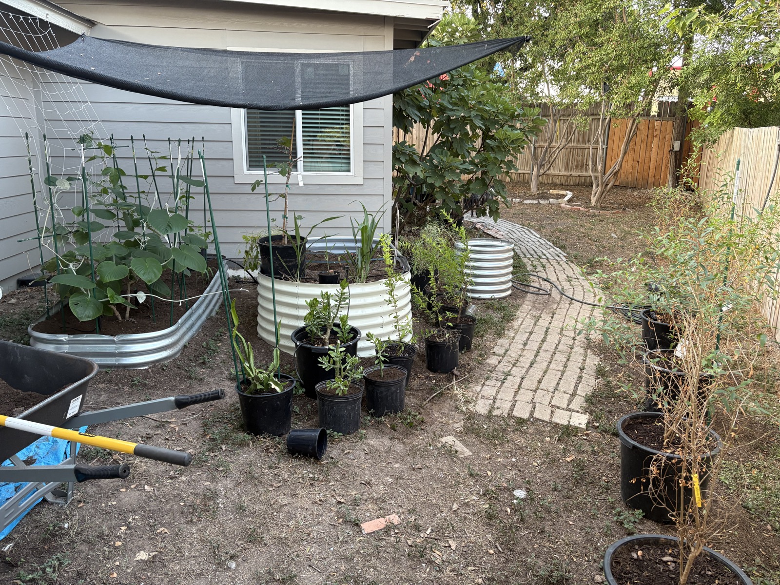 Nored Farms raised herb garden with brick edging